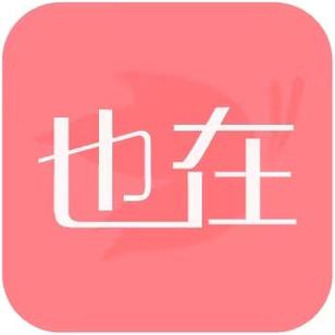 广东省也在网信息技术