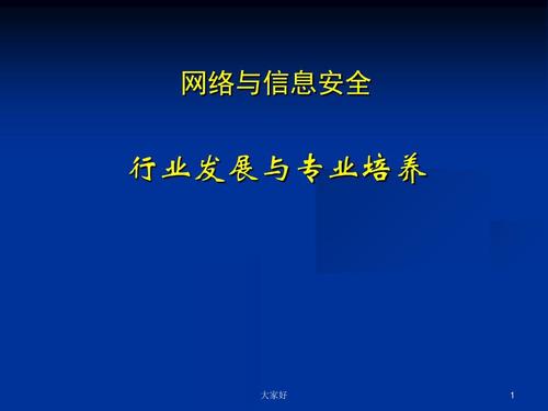 网络与信息安全 ppt